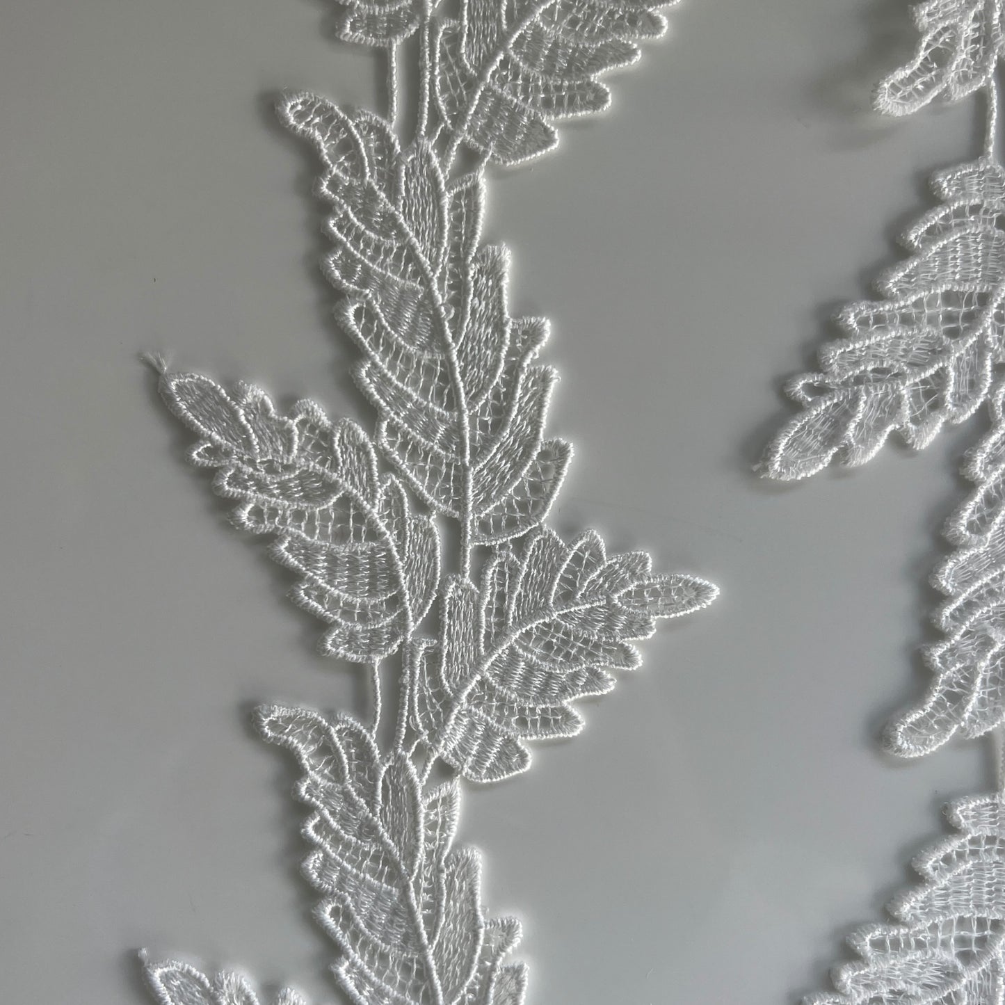 Embroidered Lace