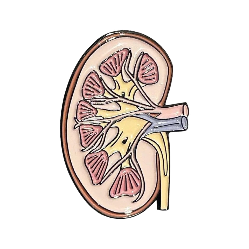 Pins — Kidney