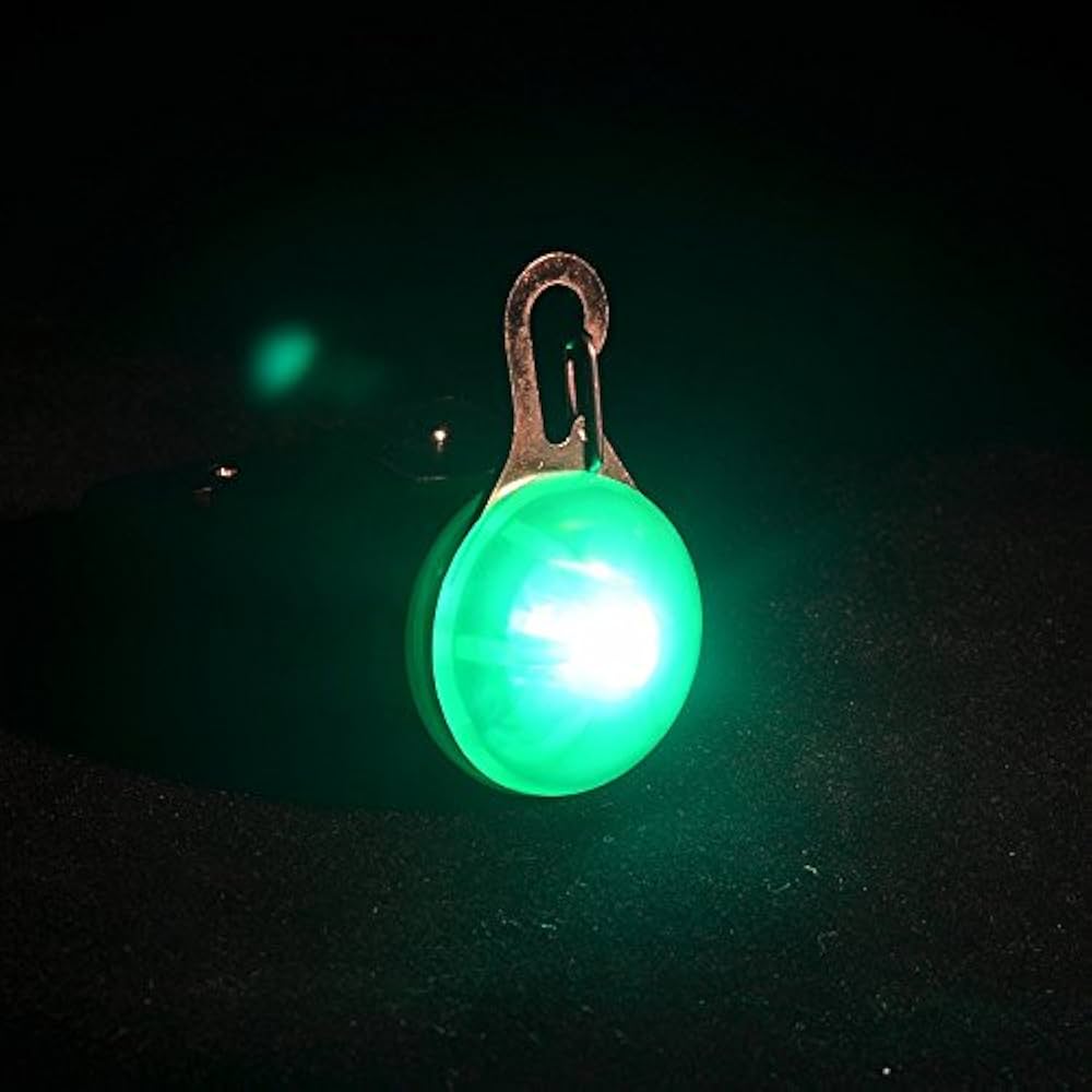 Portable Attachable Carabiner Light