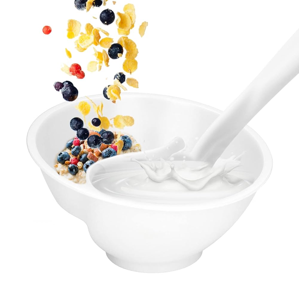 Compartment Divided Bowl