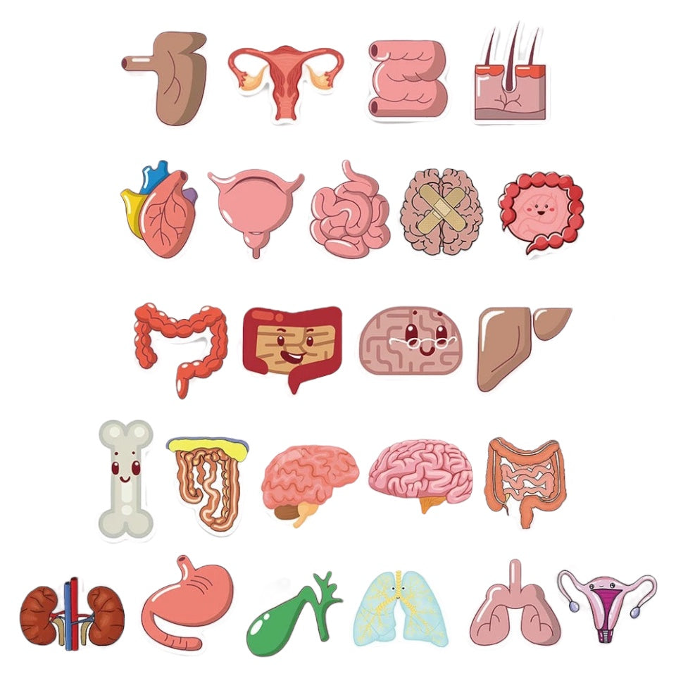 Stickers — Internal Organs Theme