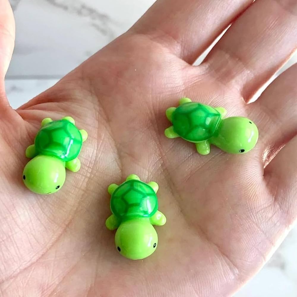 Gift — ‘You’re Turtley Awesome’.