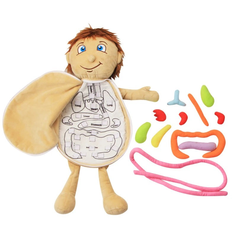 Learning Doll — Organs Soft Toy