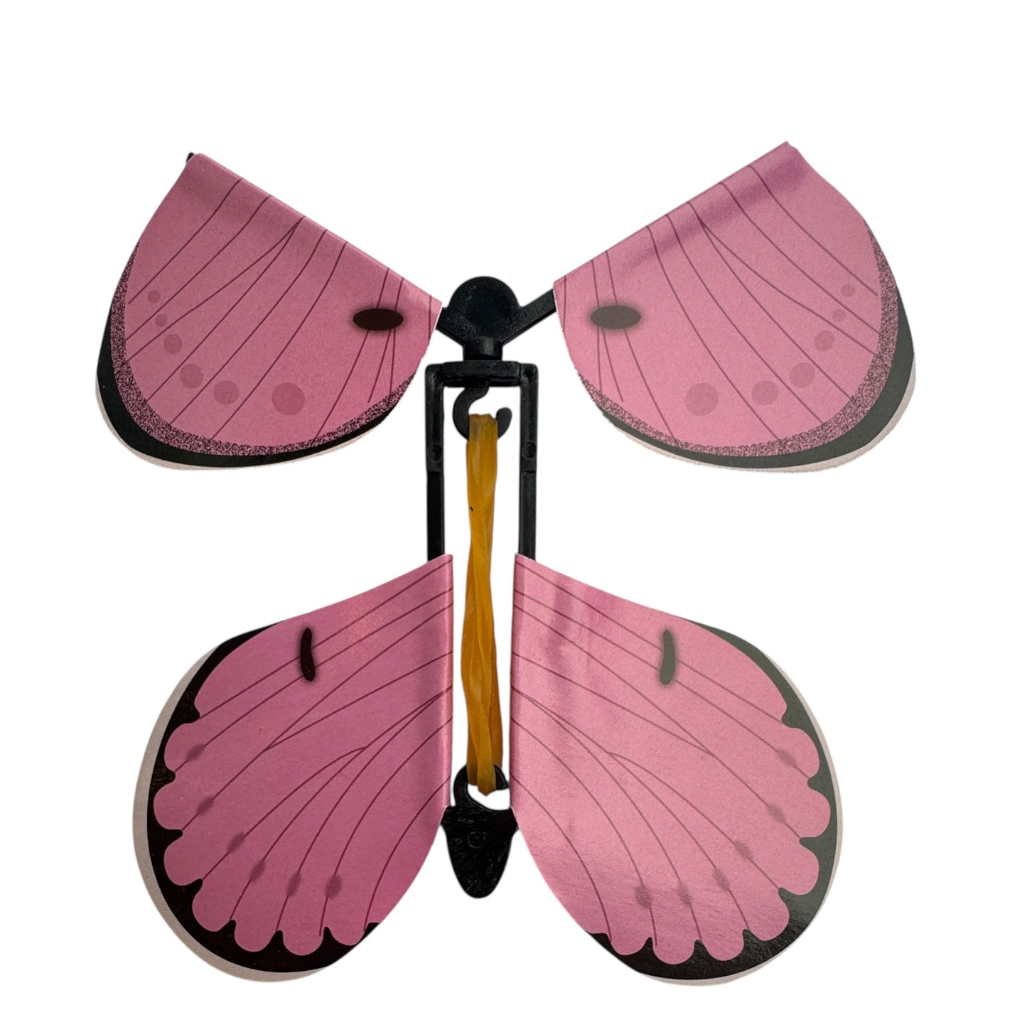 Experience — 3D Butterflies