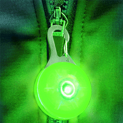 Portable Attachable Carabiner Light
