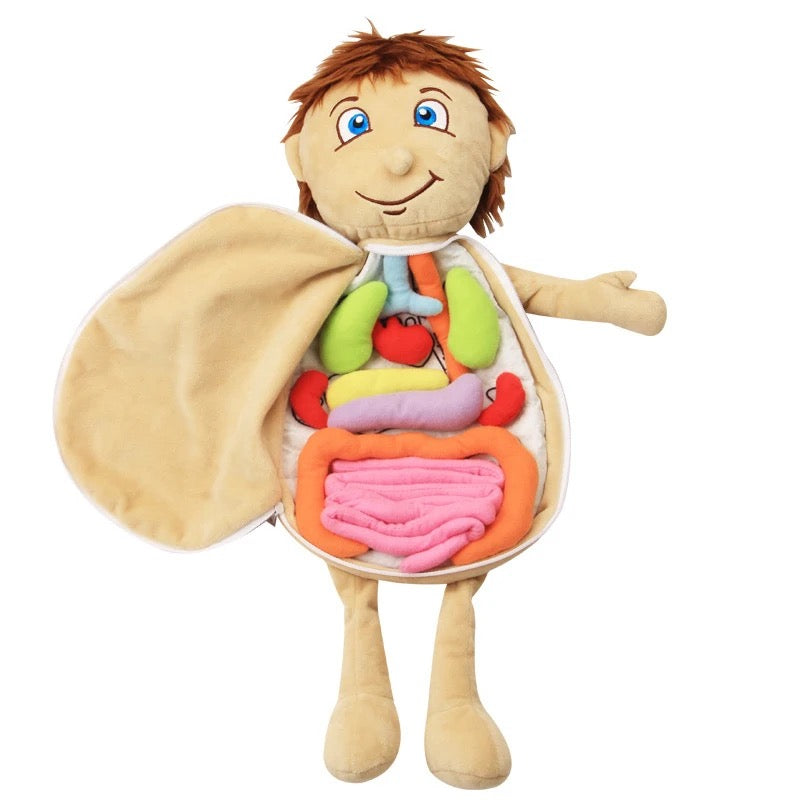 Learning Doll — Organs Soft Toy