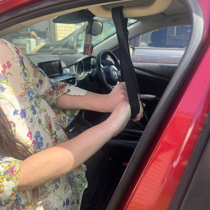 Car Standing Transfer Aid