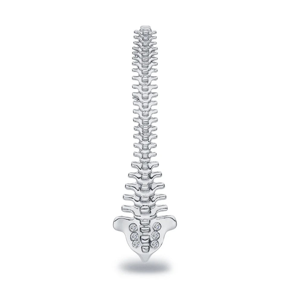 Pin — ‘Spine’