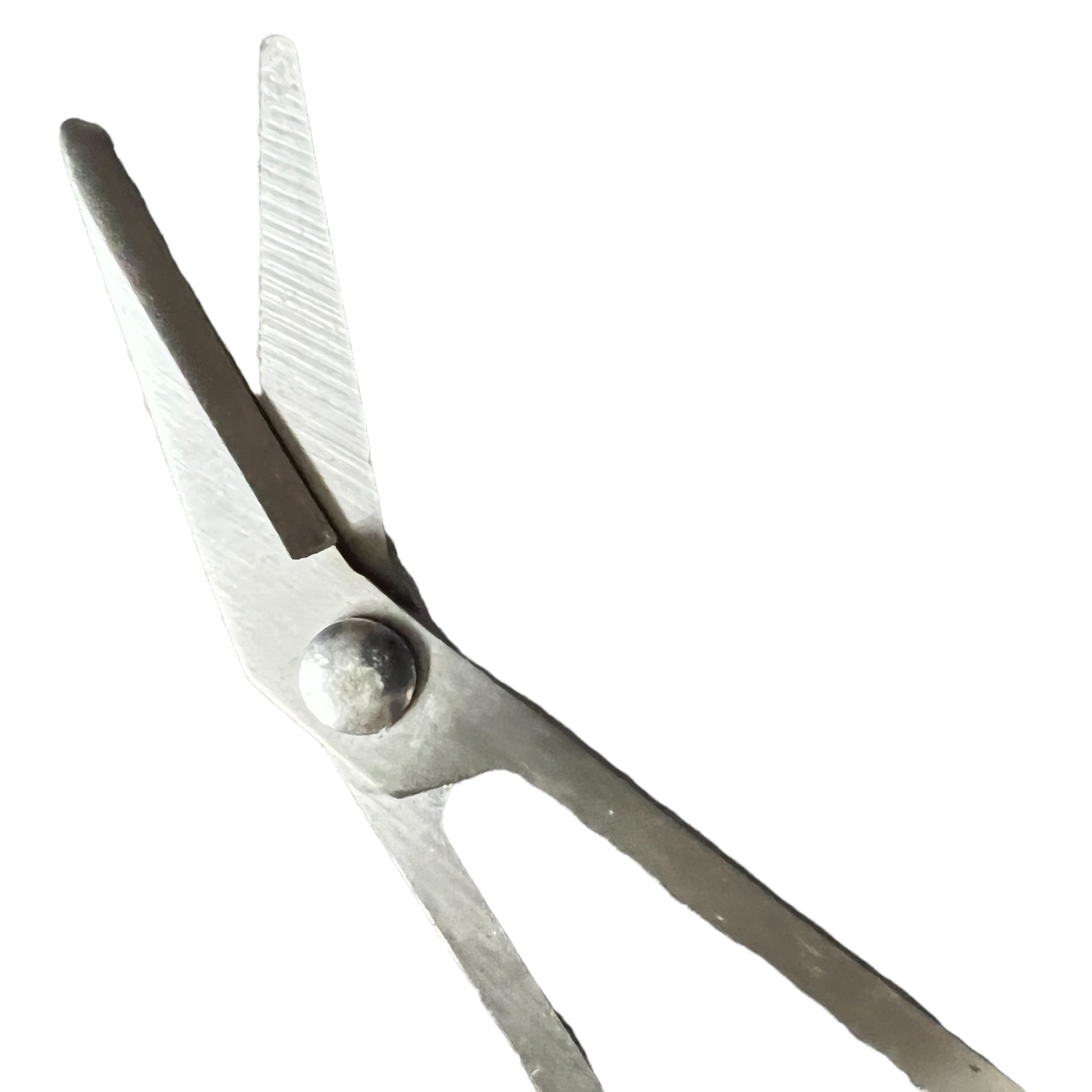 Long Handled Toenail Scissors  SPIRIT SPARKPLUGS   