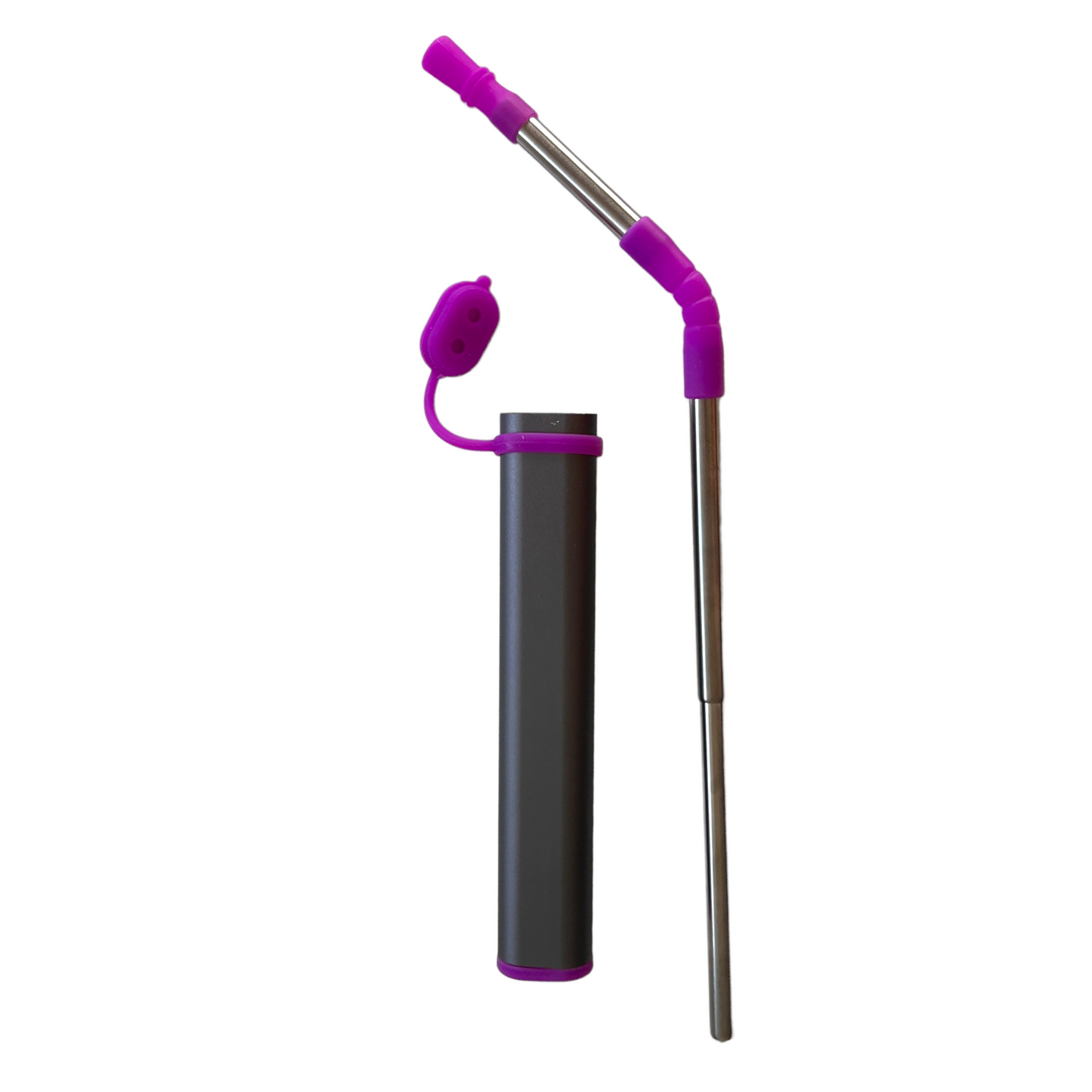 Collapsible Reusable Travel Straw Straw Holders & Dispensers SPIRIT SPARKPLUGS Purple / Grey  